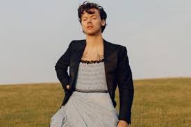 Harry Styles is the First Man to Appear Solo on Vogue