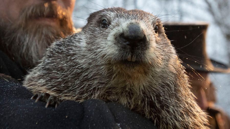 A brief explanation of Groundhog Day lore