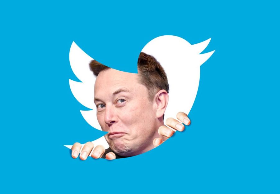 How Elon Musk Took Over Twitter