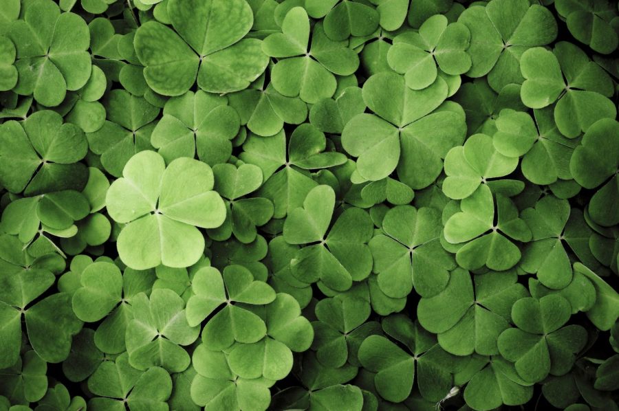 The History of Saint Patrick's Day