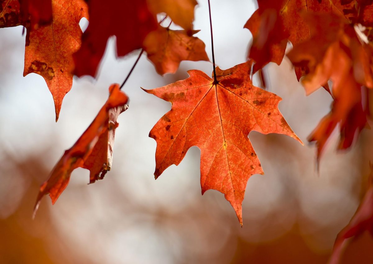 10 Easy Ways to Get into the Fall Spirit