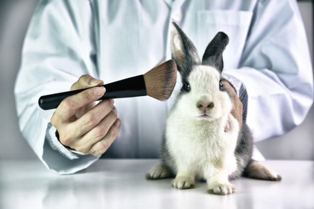 Animal Tested Cosmetic Products: Flawed and Outdated