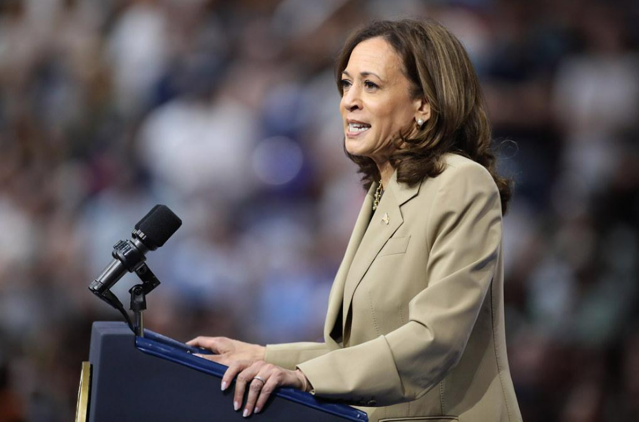 Why I Think Harris Lost the Election