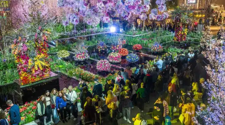 The Philadelphia Flower Show
