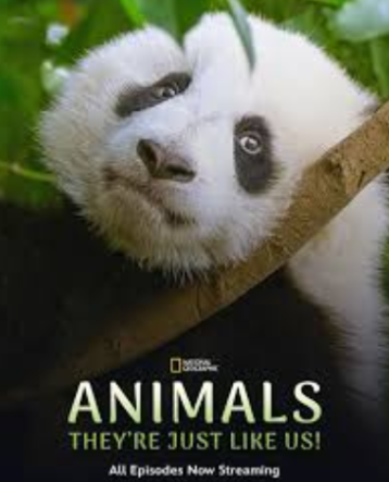 Animals, They’re Just Like Us!: A Review